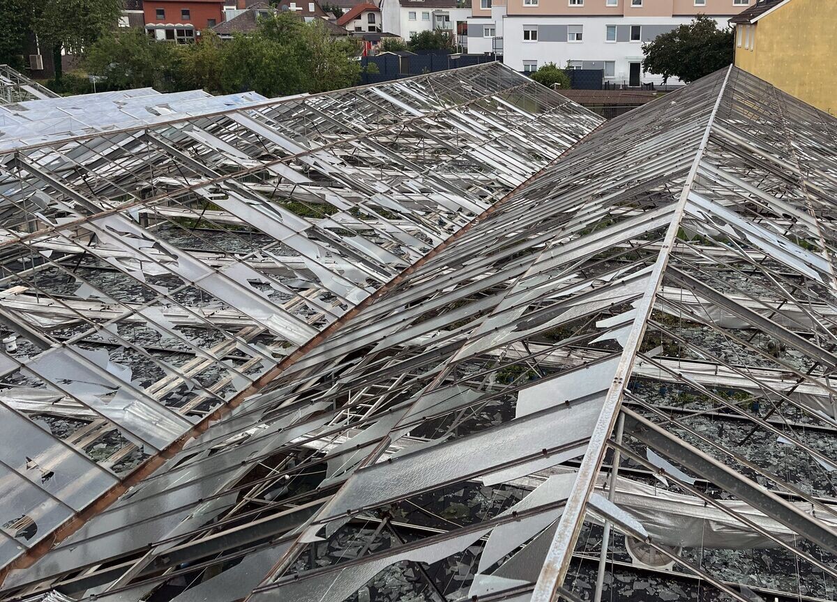 Extensive Damage Caused by Severe Hailstorm: Greenhouses Shattered and Crops Destroyed