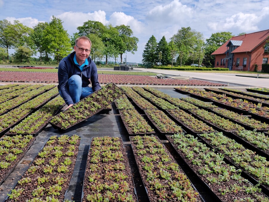 Magazin Für Produzenten Und Vermarkter Im Gartenbau - DEGA GARTENBAU ...